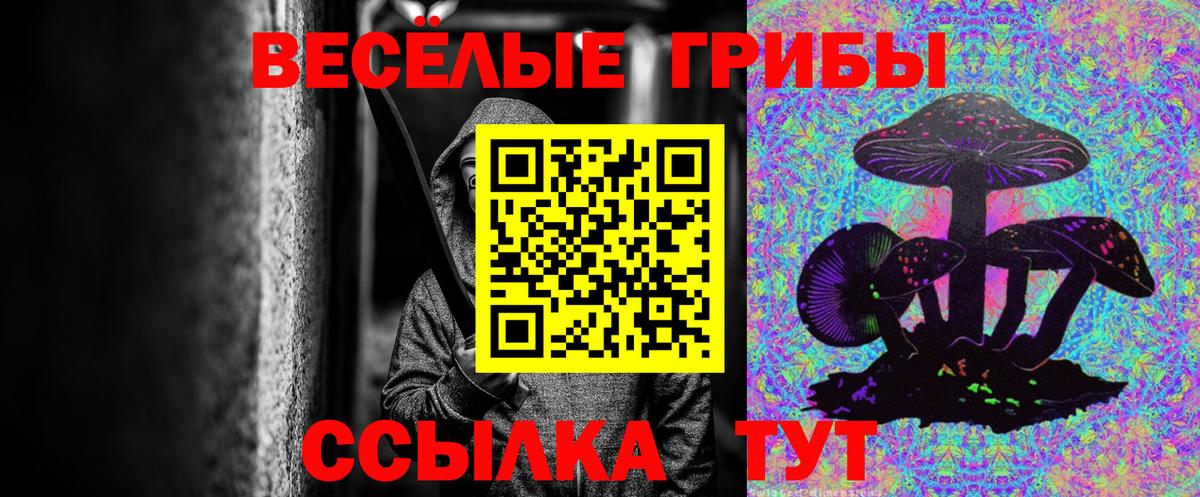 Среднеуральск  цены   Вход с VPN  Галлюциногенные грибы GOLDEN TEACHER  Галлюциногенные грибы Magic Shrooms 