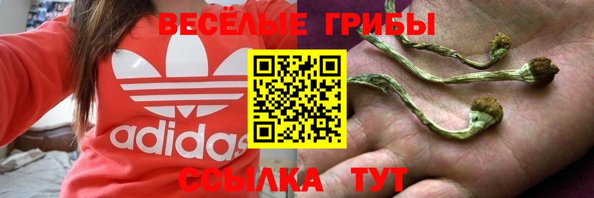 Псилоцибиновые грибы Magic Shrooms Среднеуральск